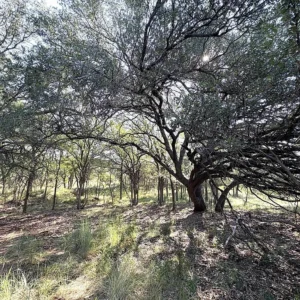 TBD - Lot 3 Sandy Mountain Dr, Sunrise Beach, TX 78643